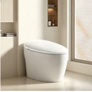 GX-90A Project smart toilet product image